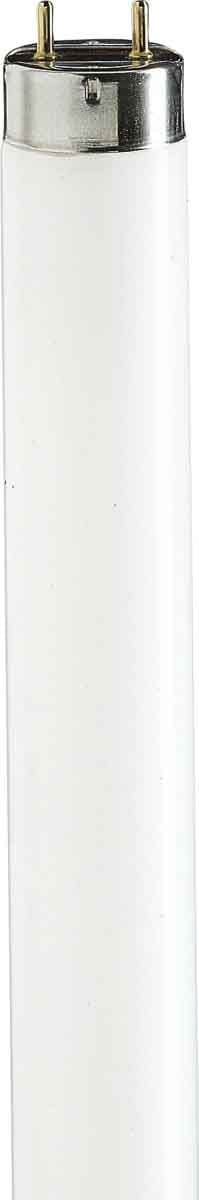 SIGNIFY ITALY SPA - PHLTLD1810 Attiniche BL - UV lamp - Consumo energetico: 18 W