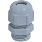 LAPP ITALIA SRL - LPP53015050 SKINTOP ST PG 21 RAL 7001 SGY