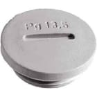 LAPP ITALIA SRL - LPP52024851 SKINDICHT BLK-GL PG13.5 RAL 7035 LGY