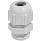 LAPP ITALIA SRL - LPP53018050 SKINTOP ST PG 21 RAL 7035 LGY