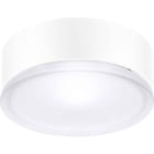 PERFORMANCE IN LIGHT - PRI004961 Apparecchio a parete e soffitto 1x60W IAA Ottica simmetrica extra diffodente