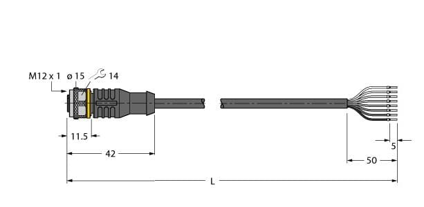 TURCK BANNER SRL - TUK6625142 RKC8T-2/TXL