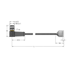 TURCK BANNER SRL - TUK6625468 WSS8T-5/TXL