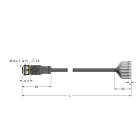 TURCK BANNER SRL - TUK6628903 RKC12T-15/TXL
