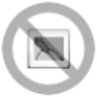 PHOENIX CONTACT - PHC1585443 HC-A16-I-CT-F INSERTO PORTACONTATTI