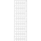 WEIDMULLER - WEI1813190000 SFC 0/21 MC NE WS