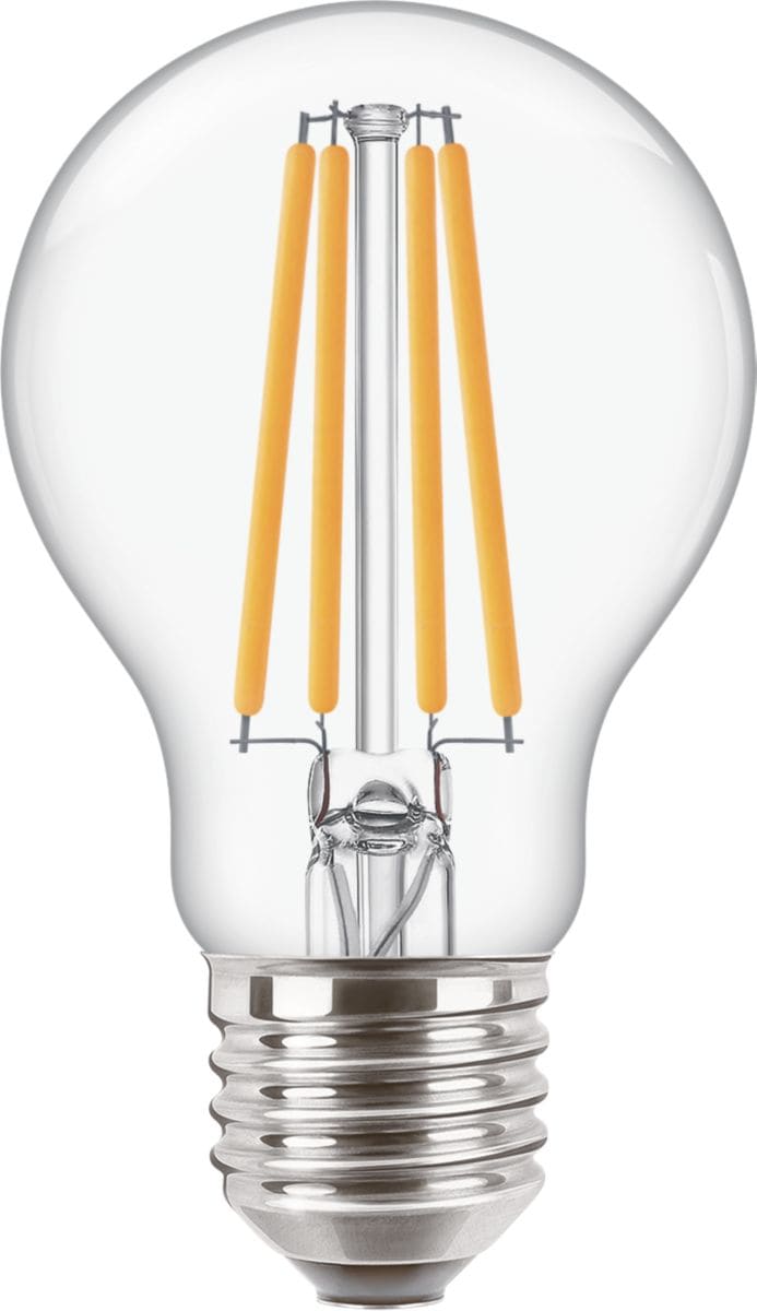 SIGNIFY ITALY SPA - PHLPHILED100G2 CorePro, LED, A60, 100 W, E27, 2700 K, 1521 lm, CRI 80, 15000 ore