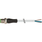 MURRELEKTRONIK SRL - MUE7000120012130300 M12 MAS. 0? 3 POLI CON CAVO