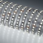 NOBILE ITALIA - NOB70042/F STRIP 5M 7W/M 140LED/M 6K IP20 24V