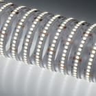 NOBILE ITALIA - NOB70092/C STRIP 5M 11W/M 238LED/M 3K IP20 24V