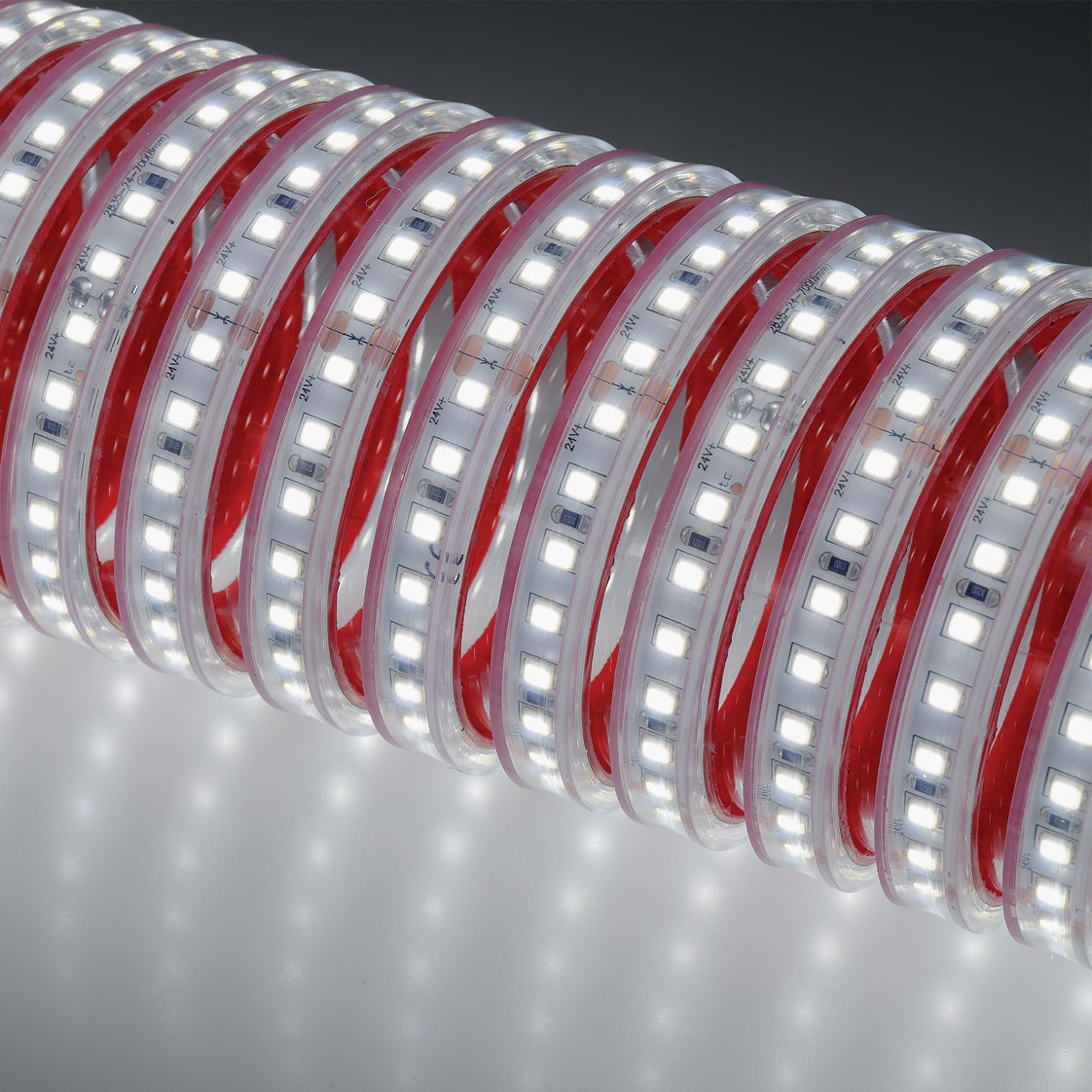 NOBILE ITALIA - NOB70102/F STRIP 5M 11W/M 238LED/M 6K IP67 24V