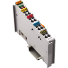 WAGO ITALIA SRL - WAG750-473 2IA 4-20MA SE, GRIGIO CHIARO