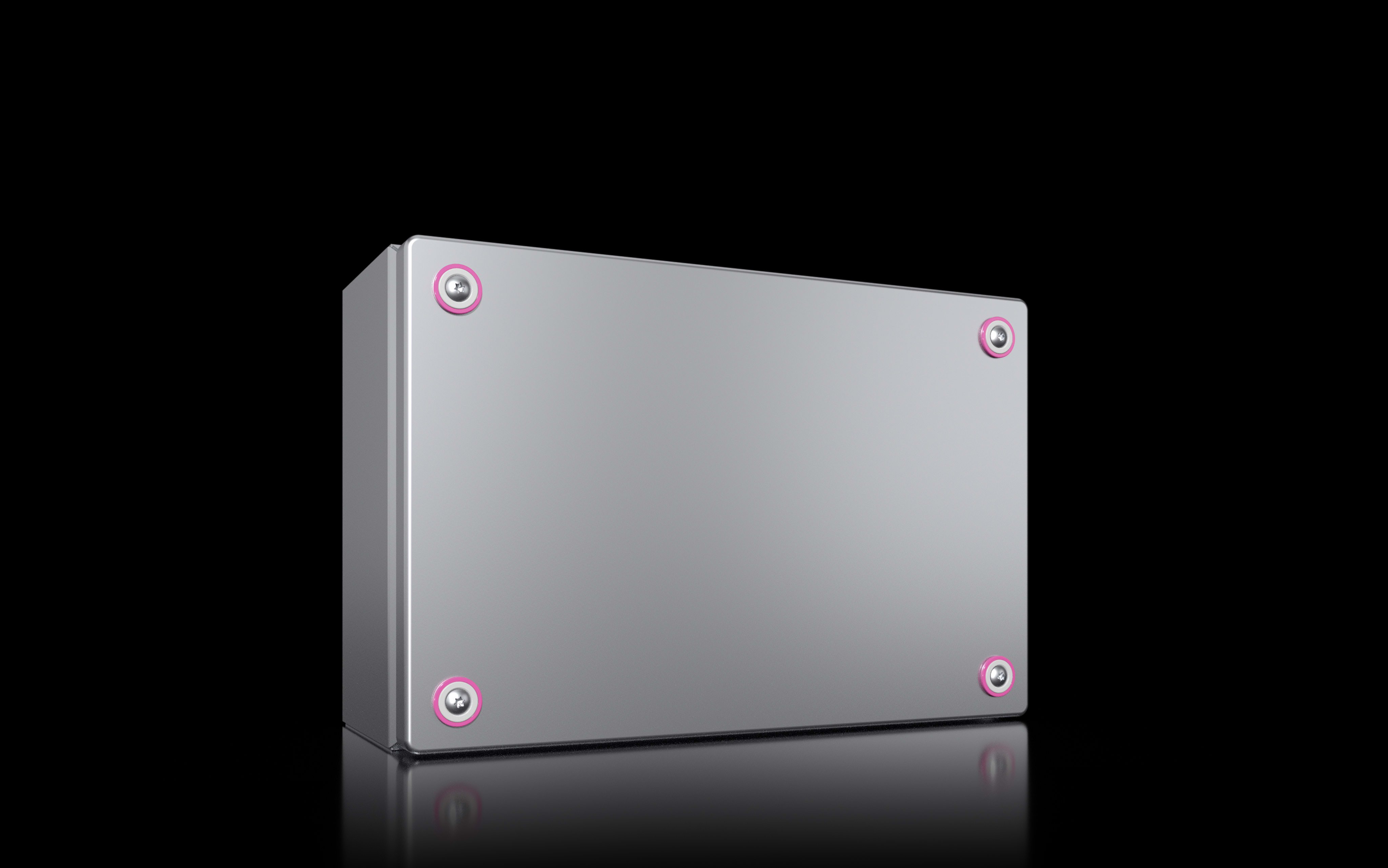 RITTAL SPA - RIT1566000 KX CONTENITORI DERIV 300X200X120 INOX