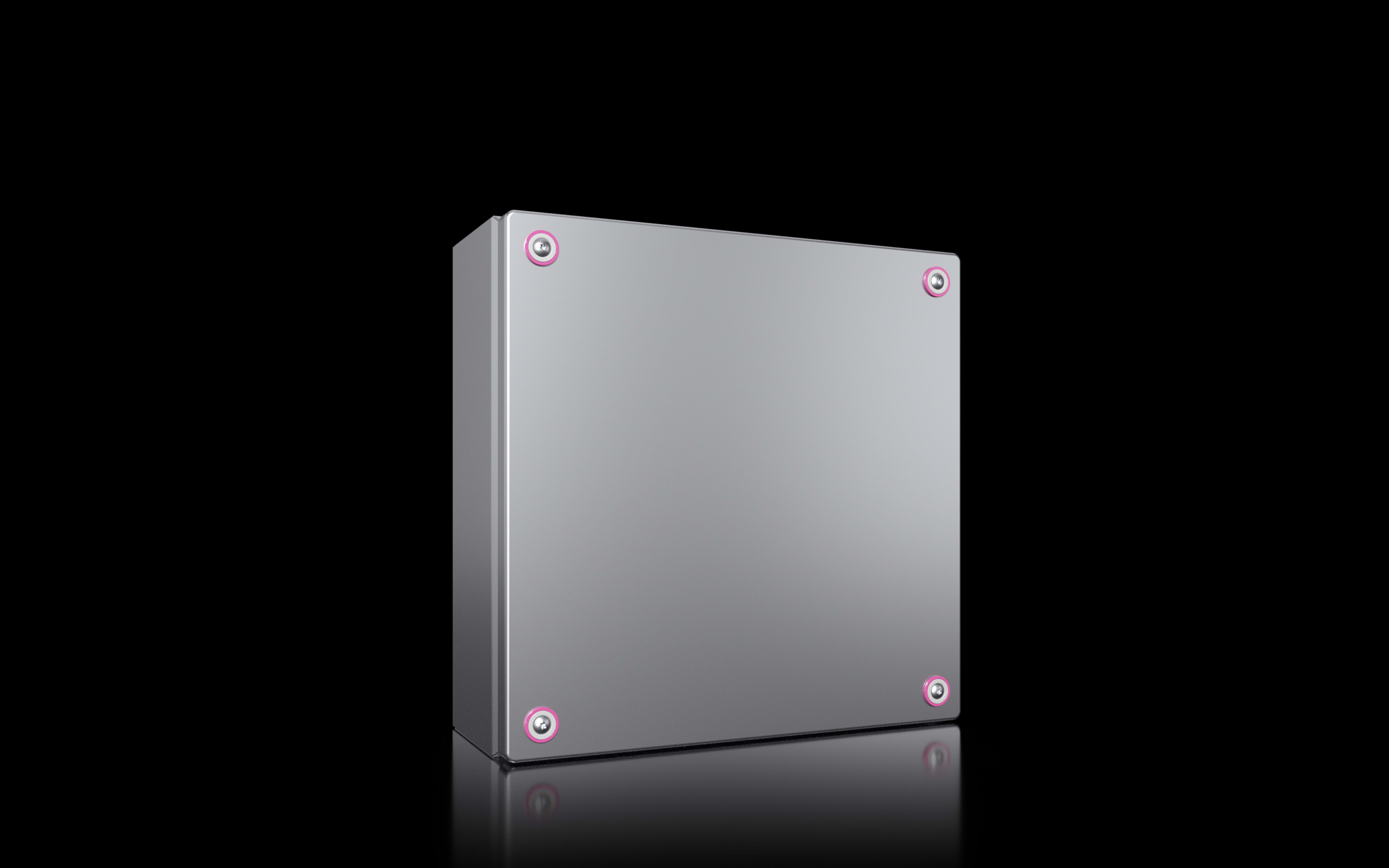 RITTAL SPA - RIT1567000 KX CONTENITORI DERIV 300X300X120 INOX