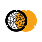 LINEA LIGHT-STILNOVO - SNVKIT0036 KIT DECORO 2NIGHT GOBO FIRE NERO