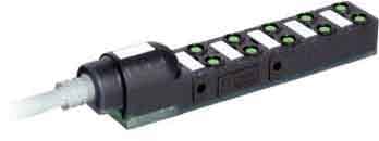 MURRELEKTRONIK SRL - MUE8000800103850500 EXACT8 10XM8 3 POLI, CAVO PRESSOFUSO