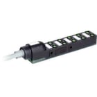 MURRELEKTRONIK SRL - MUE8000800103850500 EXACT8 10XM8 3 POLI, CAVO PRESSOFUSO