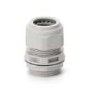 SCAME PARRE SPA - SCA805.3346 PRESSACAVO PG 29 LIGHT