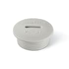SCAME PARRE SPA - SCA805.3384 TAPPO FILETTATO PG 16