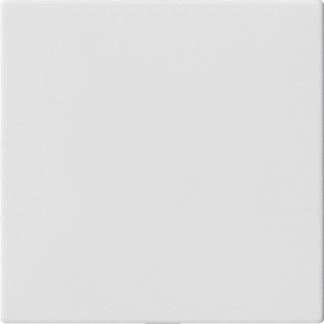 GIRA - GIR810827 COP.CIECA S. ANE.PORTANTE SYSTEM 55 BNC