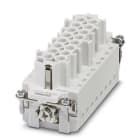 PHOENIX CONTACT - PHC1423826 HC-B16-I-TPT-F-32 INSERTO