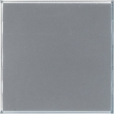 GIRA - GGI851500 TASTO COM. CIT.EST. 1-M GIRA TX_44 TRASP