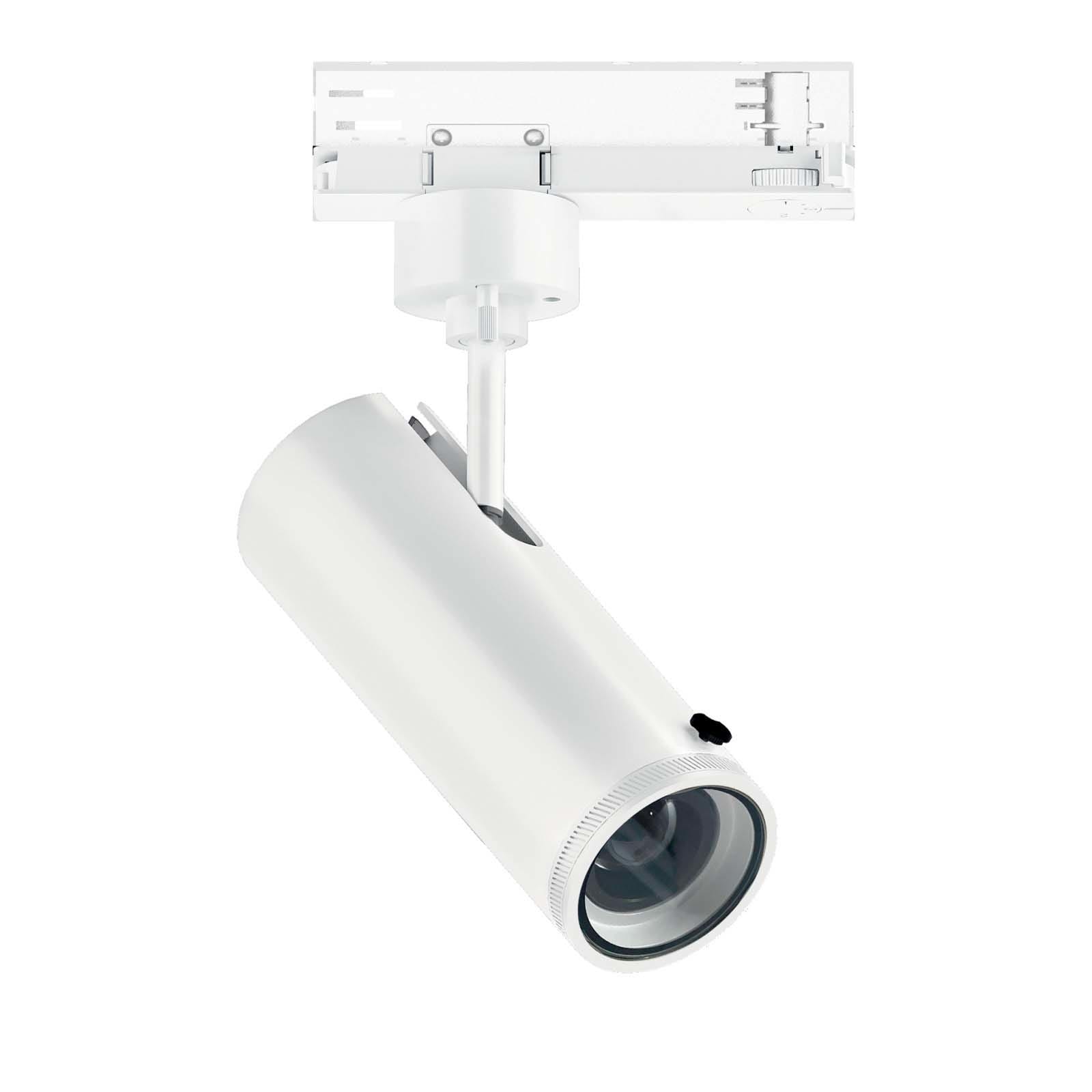 LINEA LIGHT (ILED) - ILD82446W85 POUND FOC.14 1L 26WAC CRI98+DIM BG