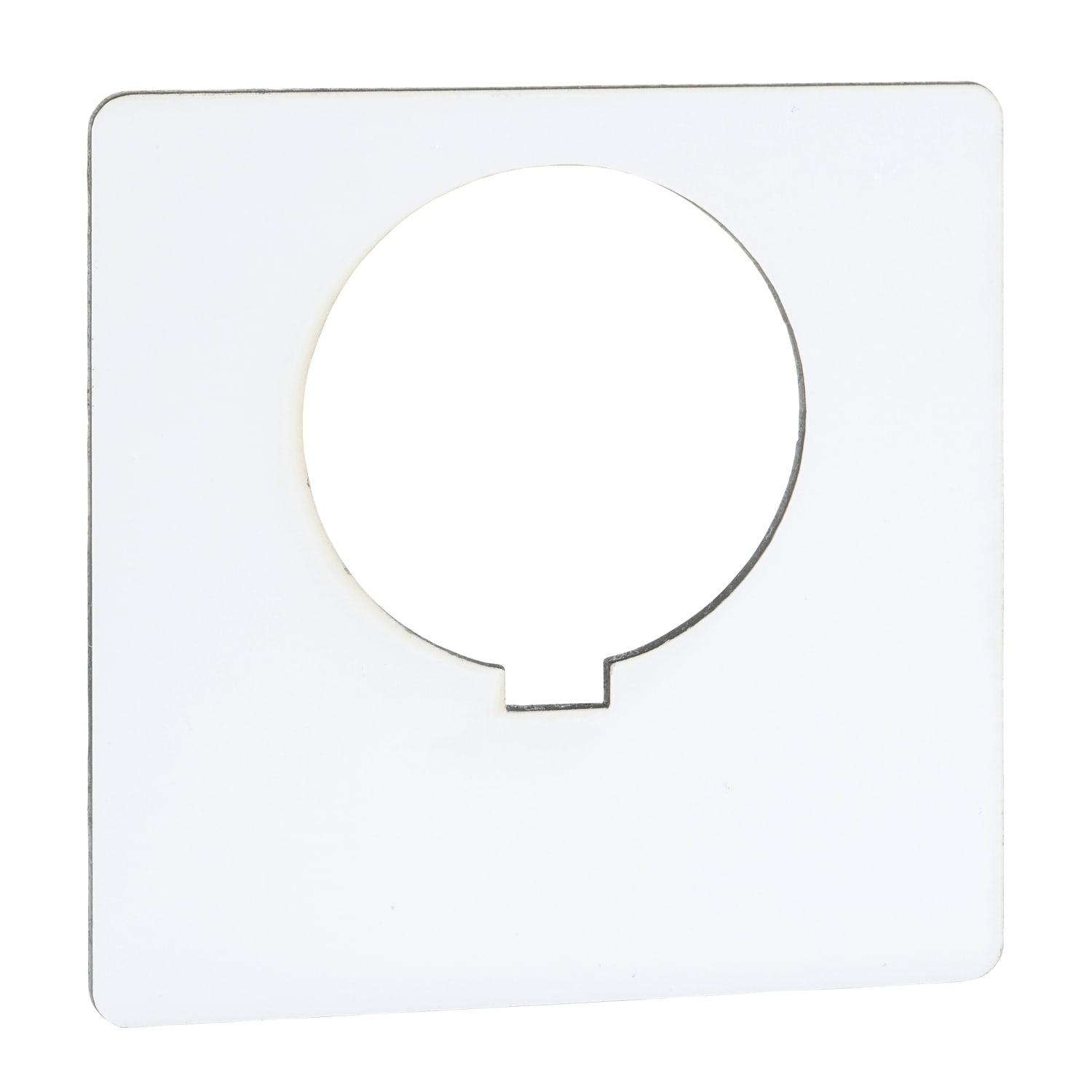 SCHNEIDER ELECTRIC - SNR9001KN100WP MOSTRINA