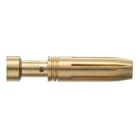 SCAME PARRE SPA - SCA933.0006216 CONTATTO A CRIMPARE