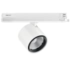 LINEA LIGHT (ILED) - ILD82899W60 OPTUS-T1 6 1L 24W BAL CRI92 DALI BG