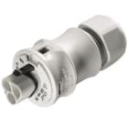 WIELAND ELECTRIC SRL - WIE96.032.4053.0 MALE C.W.STR-REL.RST20I3S S1 ZR1 V GL