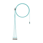 PANDUIT - PANFZTRL8NQSONM001 OM4 12-FIBER ROUND HARNESS, LSZH, MALE P
