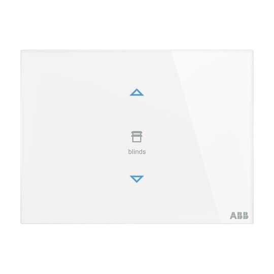 ABB SPA - ABB2CKA006300A1579 TB/U2.8.1-CG PLACCA TOUCH, 2 CANALI VERT
