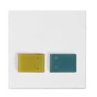 ABB SPA - ABB2CSH240935R2014 88882B3N PLACCA PULS GIALLO/VERDE ANTIB.