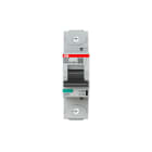 ABB SPA - ABBS801PK125 S801P-K125 INT. MAGNETOTERMICO 50KA 1P