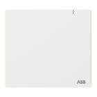 ABB SPA - ABB2CKA006200A0871 SYSTEM ACCESS POINT 3.0