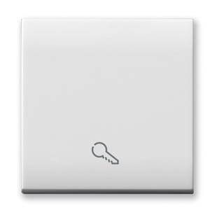 AVE - AVE441TKP/2 TASTO SIMBOLO CHIAVE ILLU. DOMUS 2M