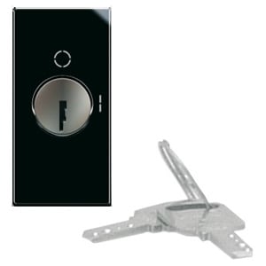 AVE - AVE442071 INTERRUTT. CHIAVE 2P 10AX LIFE 1M