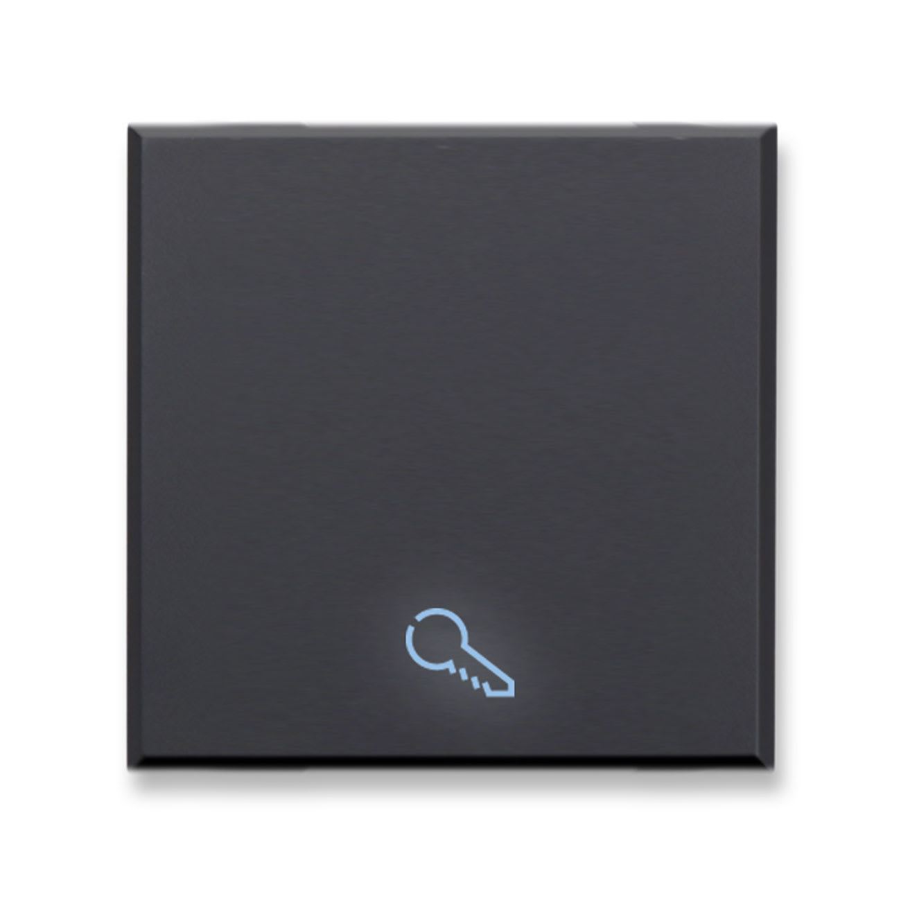 AVE - AVE445TKP/2 TASTO SIMBOLO CHIAVE ILLUM.TEKLA 2M