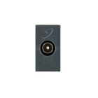 AVE - AVE45396MN PRESA TV SAT DIR IEC MASCHIO NOIR