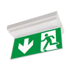 LINERGY SRL - LENA039 KIT BIFACCIALE DI SEGNALAZIONE PER PRODI