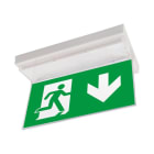 LINERGY SRL - LENA291 KIT BIFACCIALE SEGNALAZIONE PRODIGY XL G