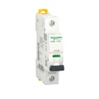 SCHNEIDER ELECTRIC - SNRA9F64106 IC60A 1P C 6A 4500A