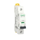 SCHNEIDER ELECTRIC - SNRA9F64132 IC60A 1P C 32A 4500A