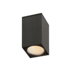 ROSSINI - RSSARG10130BTI DOWNLIGHT A PLAFONE QUADRATO TITANIO CON