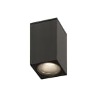 ROSSINI - RSSARG10130NTI DOWNLIGHT A PLAFONE QUADRATO TITANIO CON