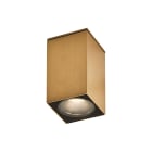 ROSSINI - RSSARG10140NOR DOWNLIGHT A PLAFONE QUADRATO ORO CON LAM
