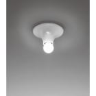 ARTEMIDE ITALIA SRL - ARMA048100 TETI TRASP.CRISTALLO (CONF.1 PZ.)