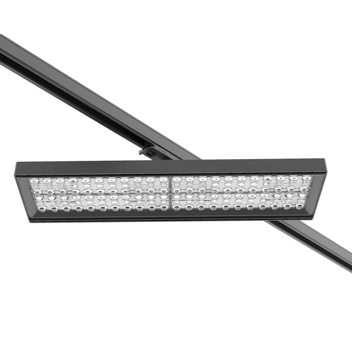 PERFORMANCE IN LIGHT - PRI3101736 AS615 40 S/EW 830 BK-81