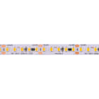 BRILUX SRL - BR1B18-HL1348830P FLEX LED HIGH LUMEN IP64 13W 140LED/M RA